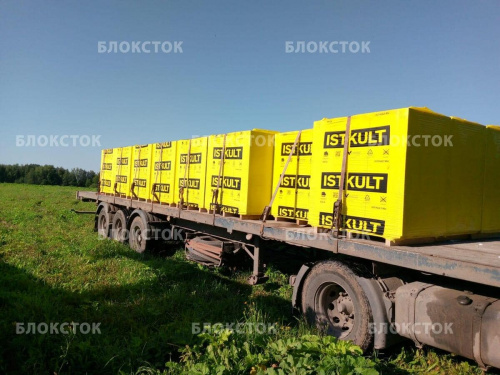 Газосиликатные блоки Istkult D500 625х250х300 стеновые